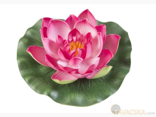 Lotus Foam Fuchsia 17 cm